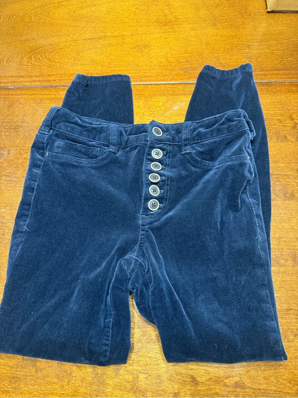 Anthropologie Pilcro Pants Womens Blue Corduroy 26 High Rise Skinny Button Fly